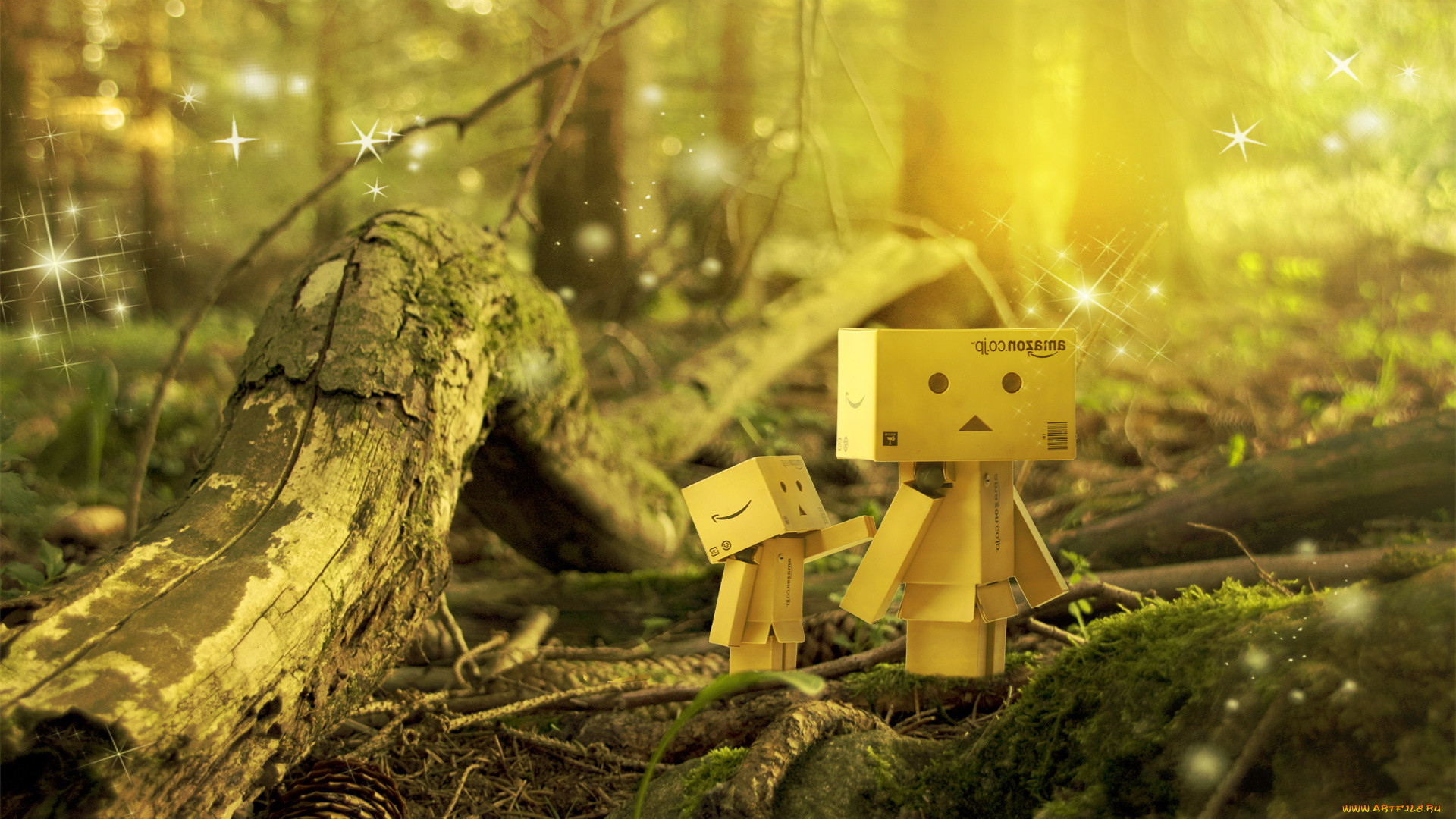 , , danboard, , 